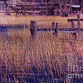 Dock on the Bay