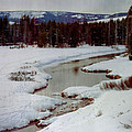 Winter Stream