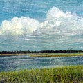 Cedar Key 1
